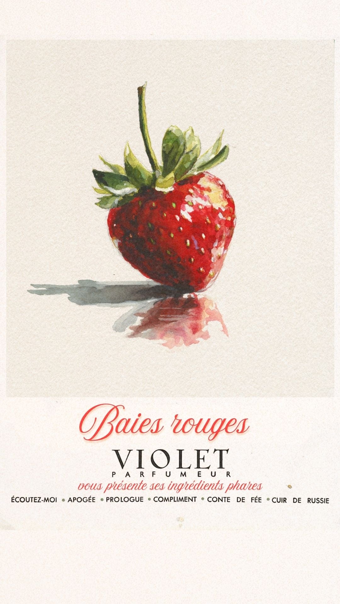 Baies rouges Maison VIOLET