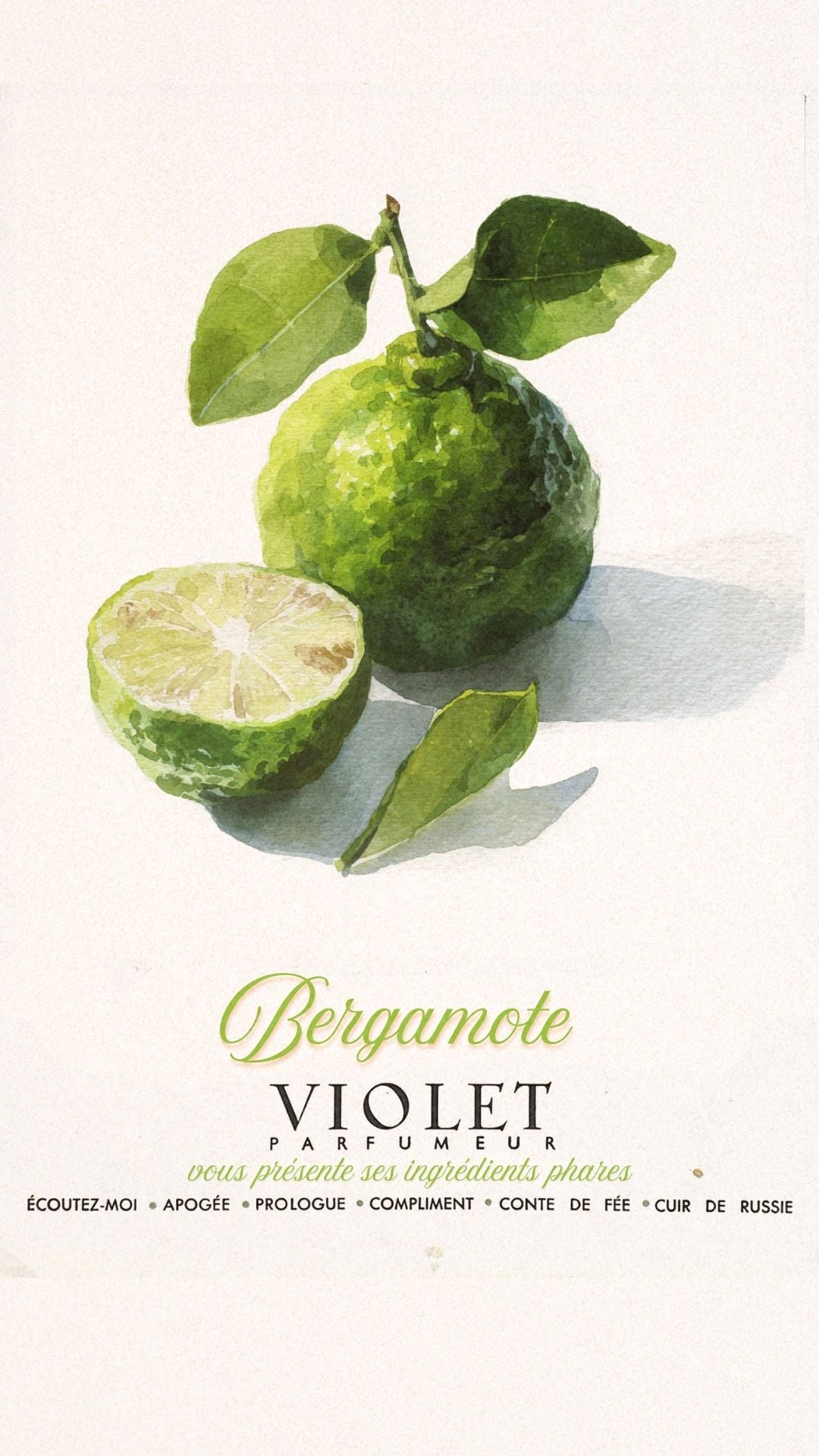Bergamote Maison Violet
