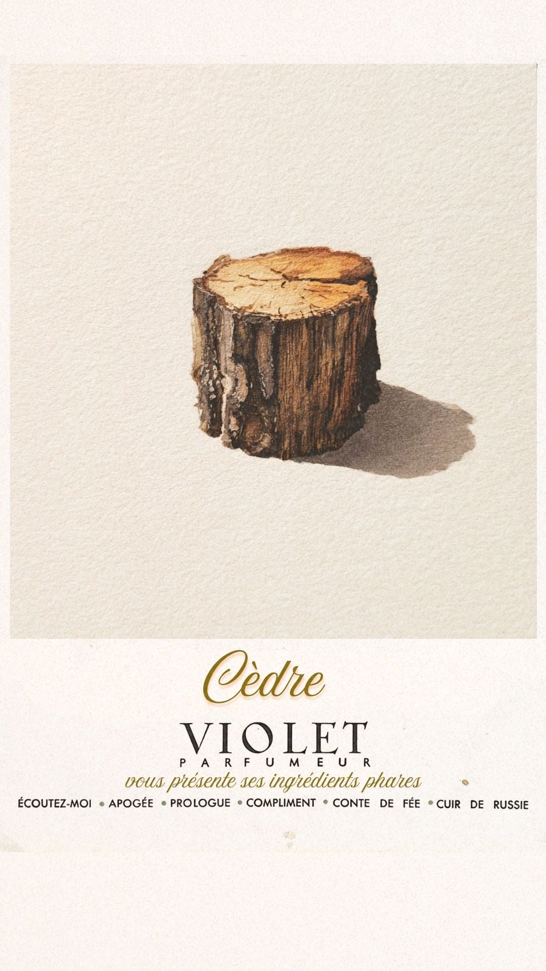 Cèdre Maison VIOLET