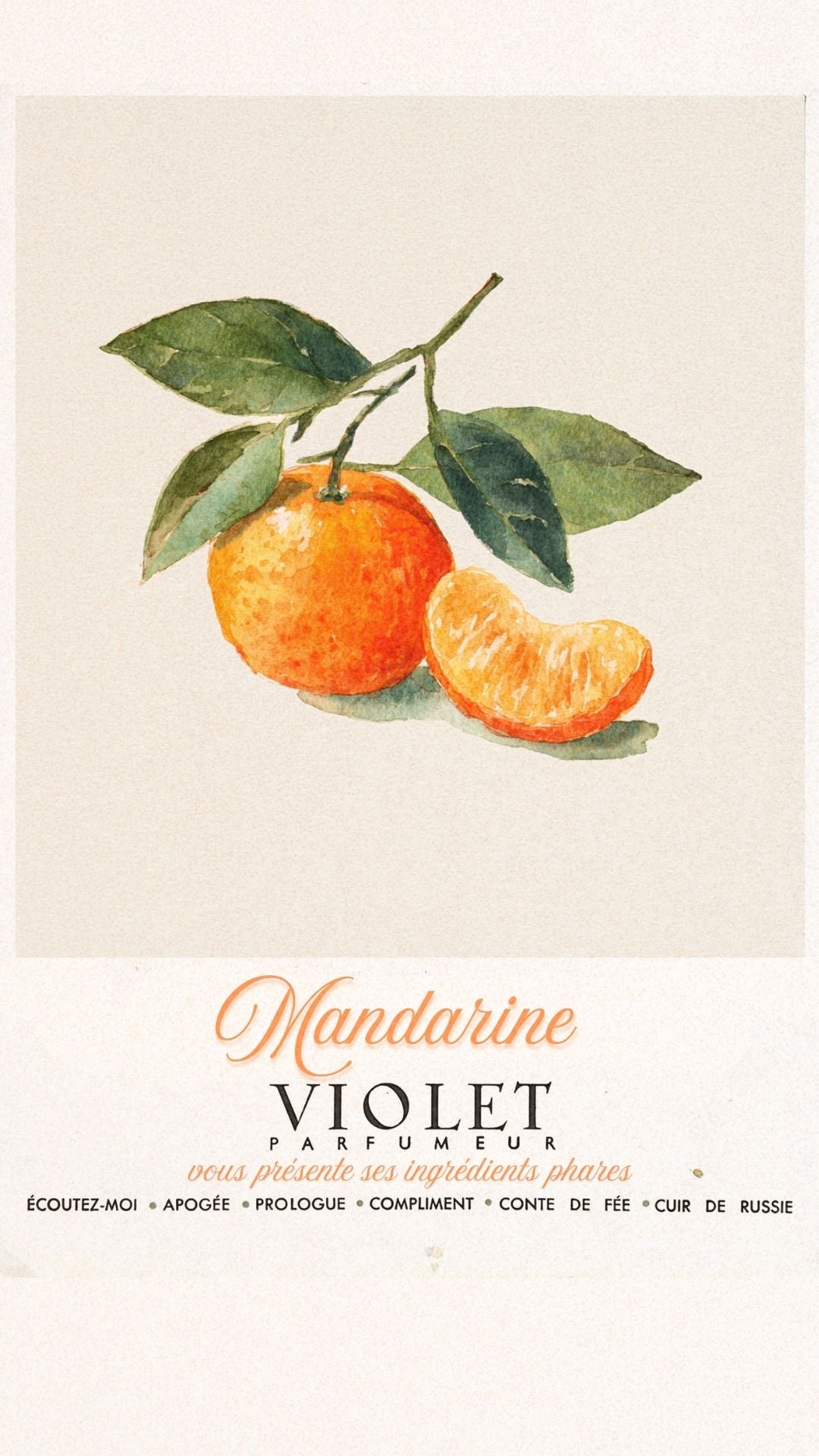 Mandarine Maison VIOLET