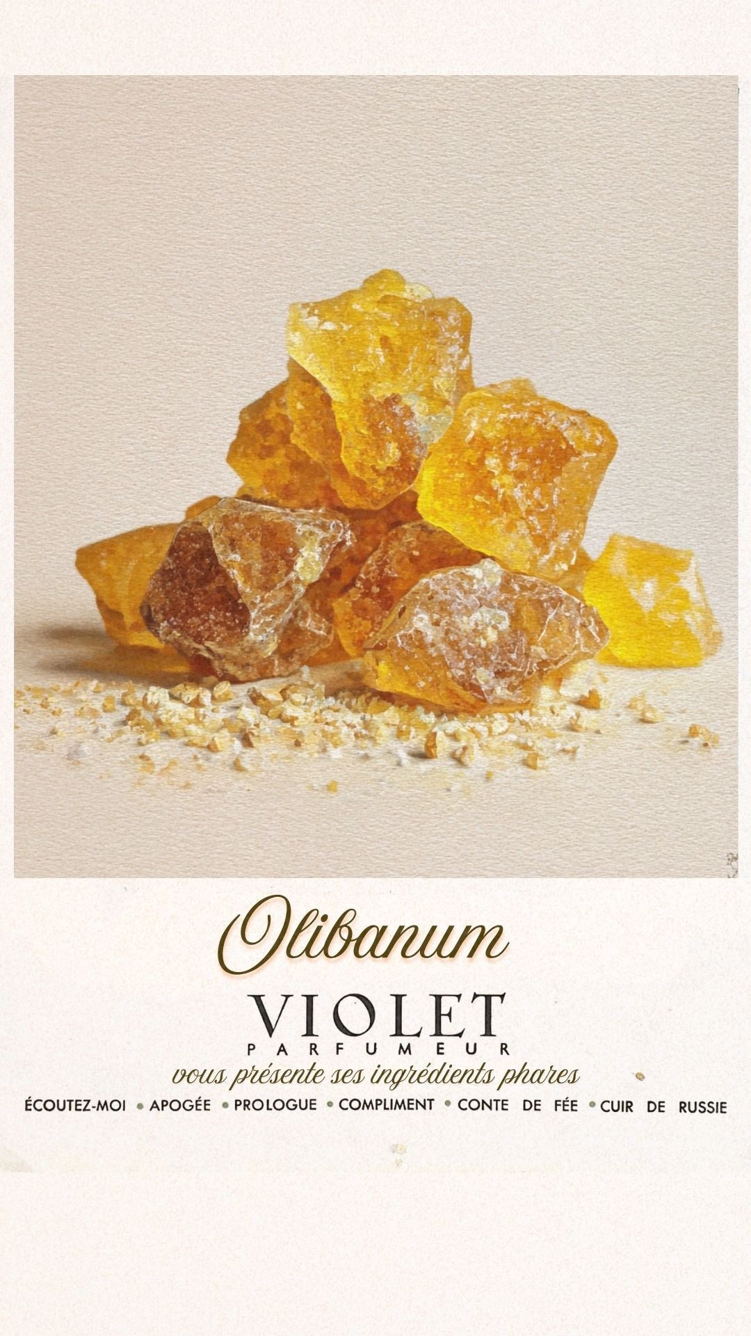 Olibanum Maison VIOLET