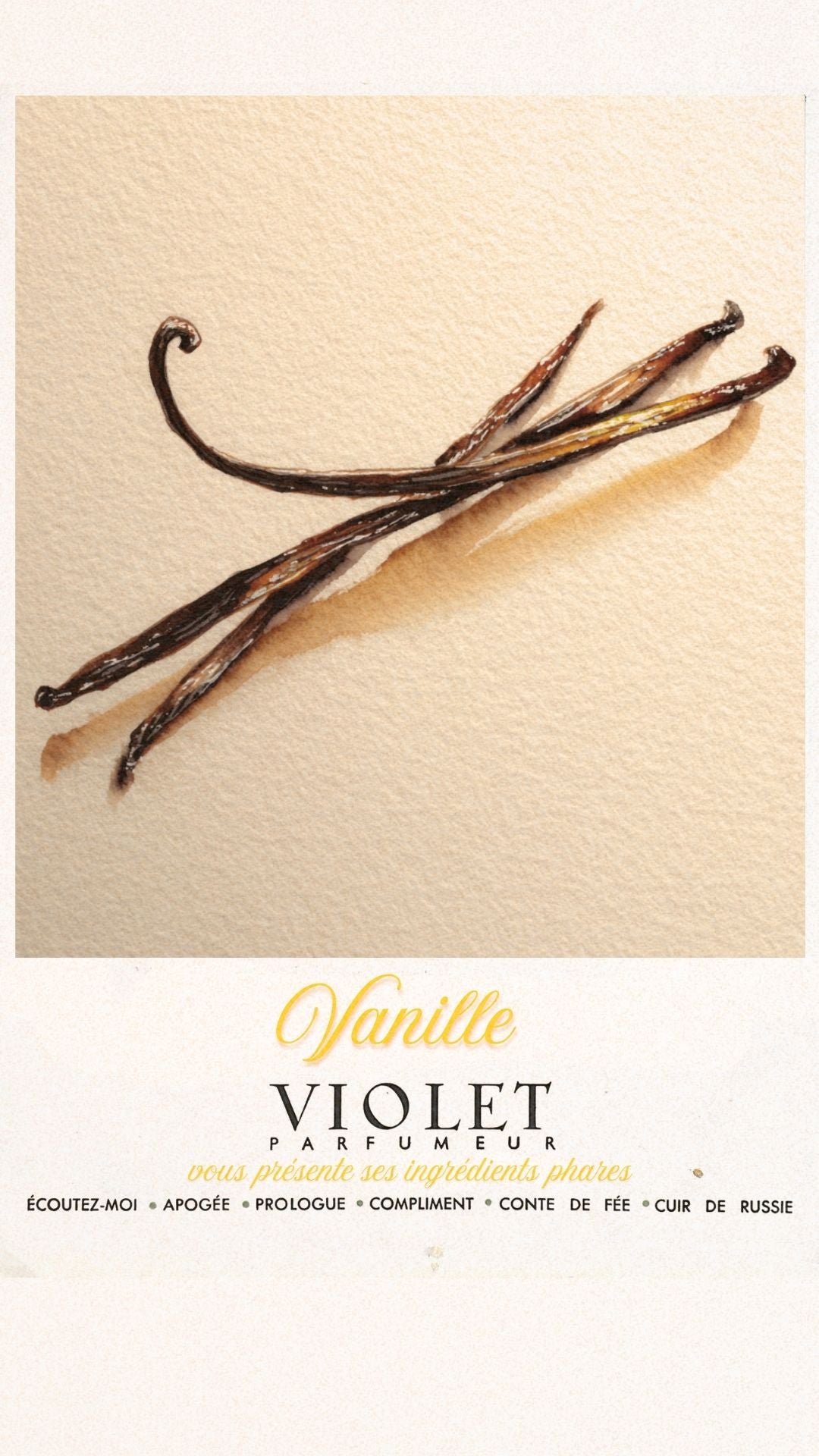 Vanille Maison VIOLET