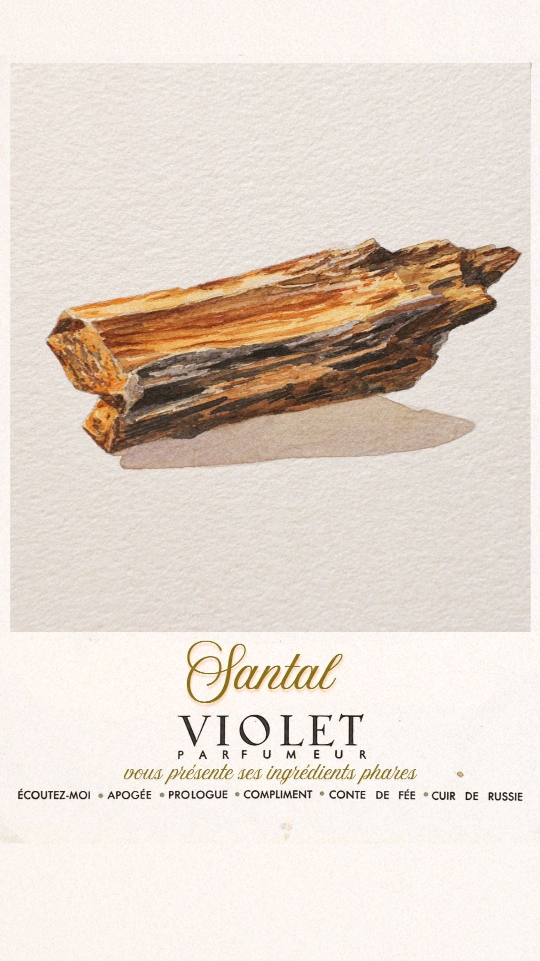 Santal Maison VIOLET