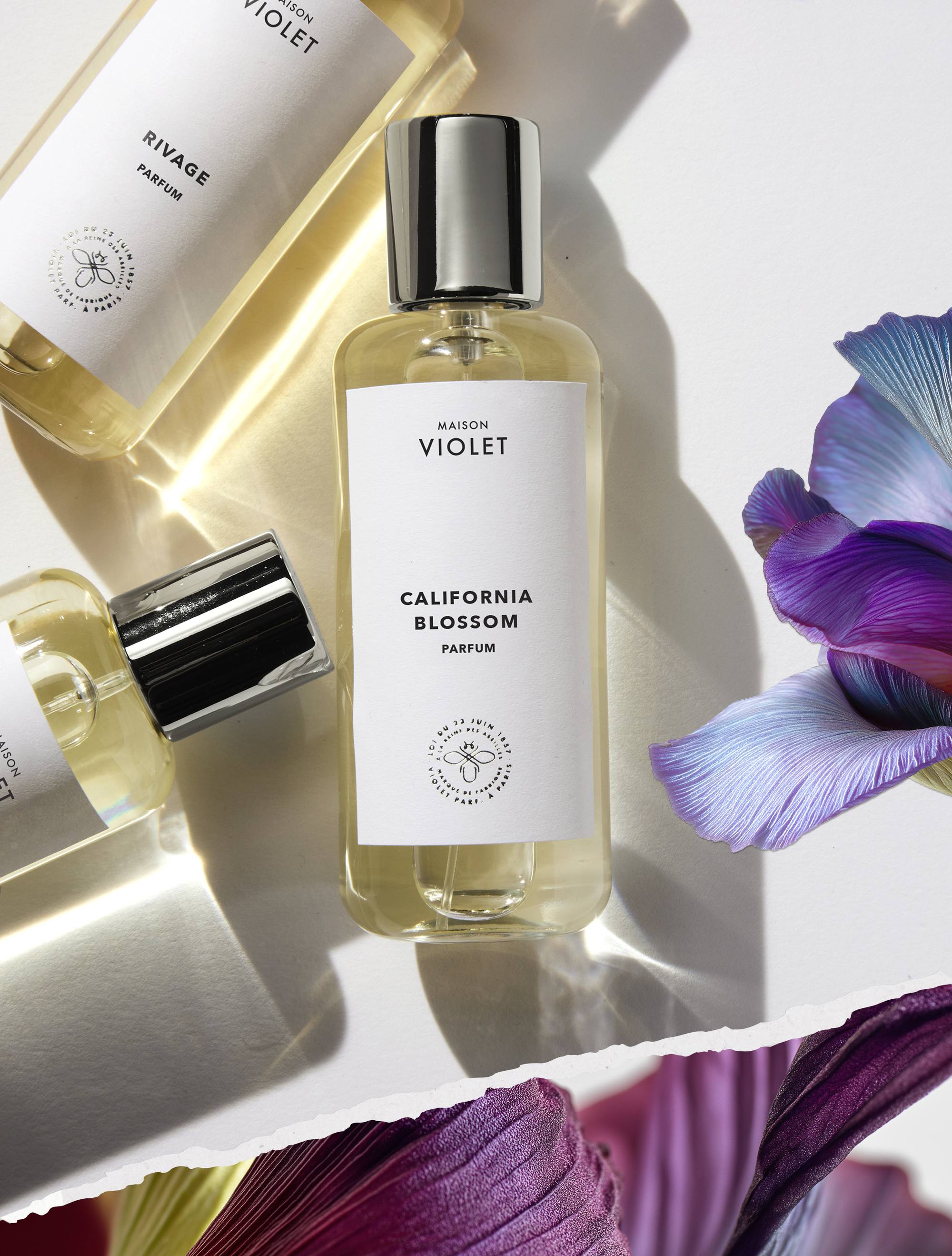 Collection les Expressions de Maison VIOLET